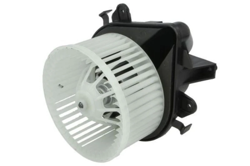 Image of THERMOTEC Blower motor THERMOTEC DDF011TT