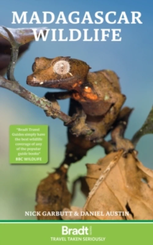 Image of Madagascar Wildlife Paperback / softback