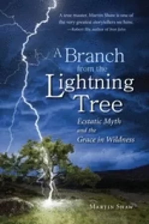Image of branch from the lightning tree ecstatic myth and the grace of wildness