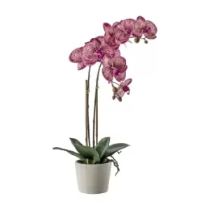 Gallery Interiors Orchid with Ceramic Pot in Pink