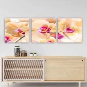 Image of P515190 Multicolor Decorative Canvas Painting (3 Pieces)
