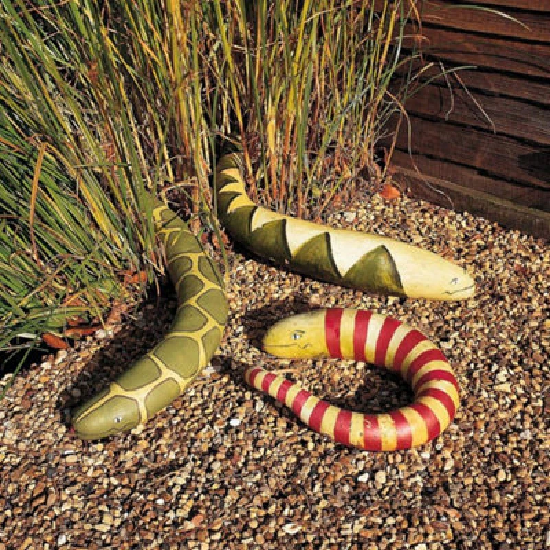 Image of Thompson & Morgan Snake Gourd - Rhs Kids 1 Seed Packet
