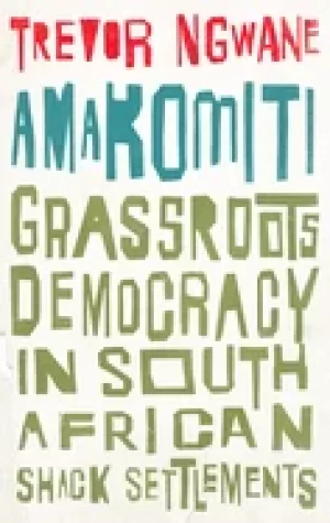 Image of amakomiti grassroots democracy in south african shack settlements