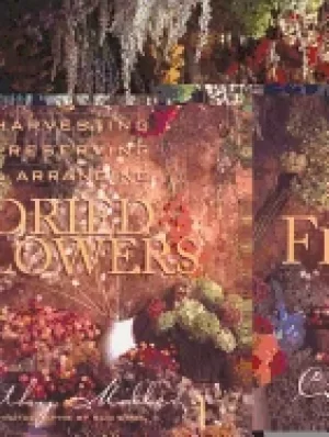 Image of harvesting preserving and arranging dried flowers