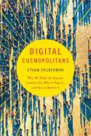 Image of digital cosmopolitans why we think the internet connects us why it doesnt a