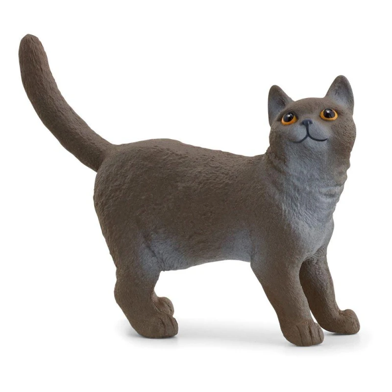 Image of Schleich British Shorthair Cat Multi unisex