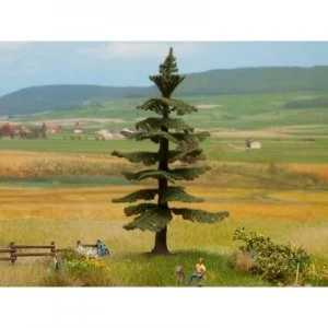 Image of NOCH 21819 Tree Nordmann fir 120 mm