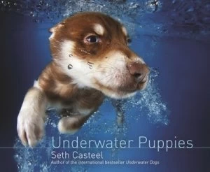 Image of Underwater Puppies by Seth Casteel Hardback