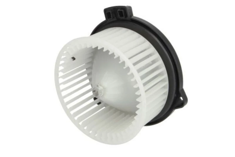 Image of THERMOTEC Blower motor THERMOTEC DD2005TT