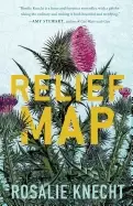 Image of relief map