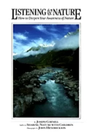 Image of listening to nature how to deepen your awareness of nature