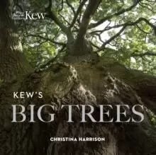 Image of Kew's Big Trees