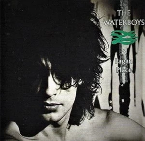 image of A Pagan Place by The Waterboys CD Album