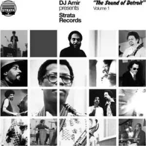 DJ Amir Presents Strata Records "The Sound of Detroit" - Volume 1 by Various Artists Vinyl Album