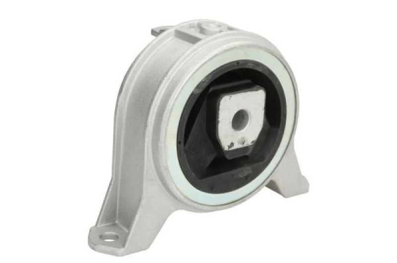 Image of REINHOCH Engine mount REINHOCH RH11-5043