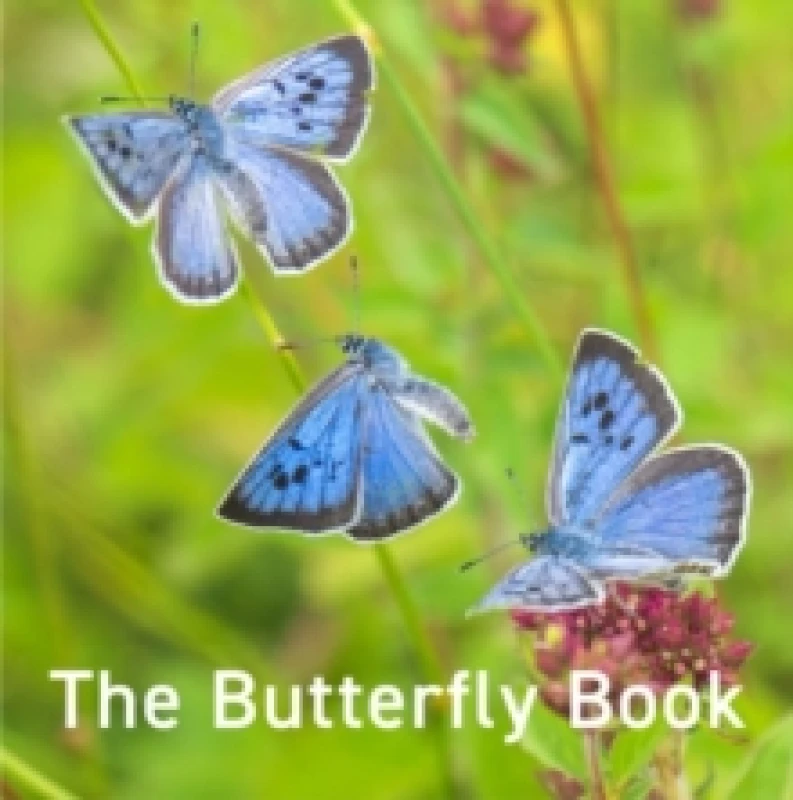 Image of Nature Book Series: The Butterfly Book Hardback