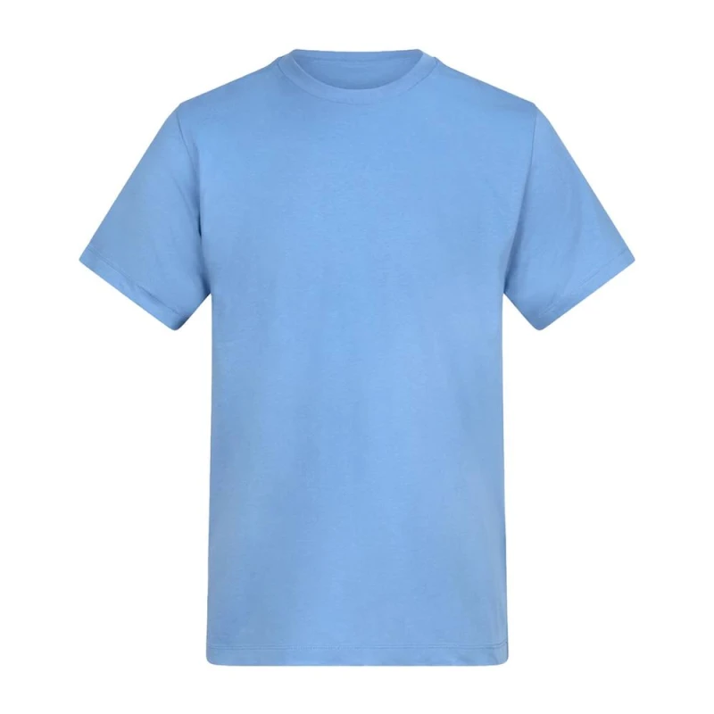 Image of Awdis 150 mens T shirt in Blue