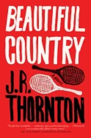 Image of beautiful country a novel