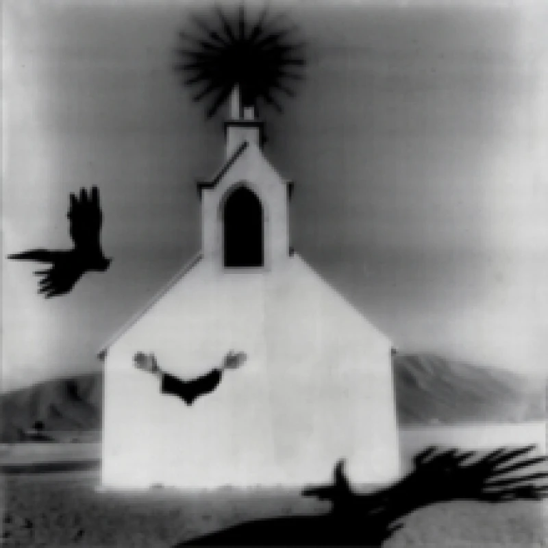Image of Ink & Oil Vinyl