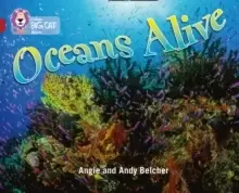 Image of Oceans Alive : Band 14/Ruby