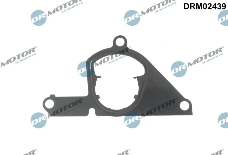 Image of DR.MOTOR AUTOMOTIVE Gasket, vacuum pump DR.MOTOR AUTOMOTIVE DRM02439