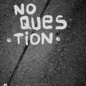 Image of S/T by No Question Vinyl Album
