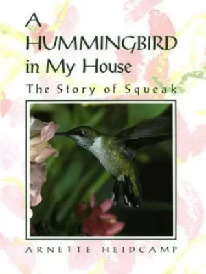 Image of A hummingbird in my house by Arnette Heidcamp
