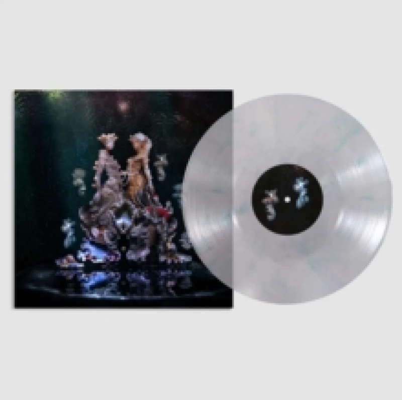 Image of Oral Vinyl