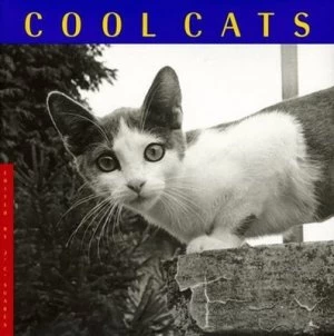 Image of Cool Cats by Jana Martin and Jean-Claude Suars and Katrina Fried Book