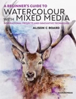 Image of beginners guide to watercolour with mixed media inspirational projects and