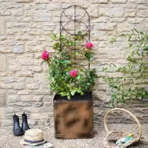 Image of Outdoor Cylinder Trellis Bronze