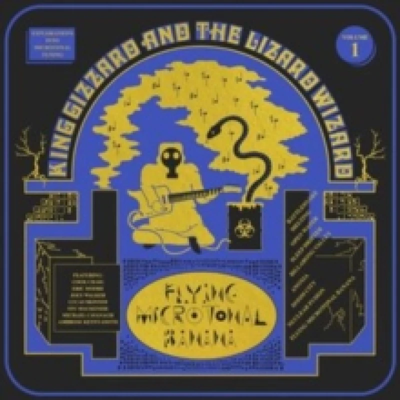 Image of Flying Microtonal Banana Vinyl