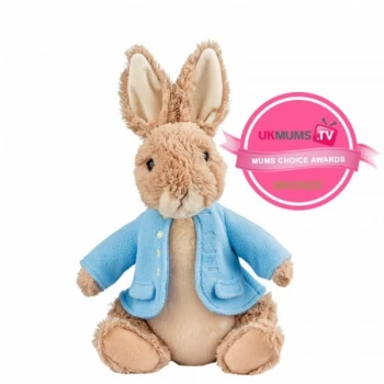 Image of Peter Rabbit Large Soft Toy
