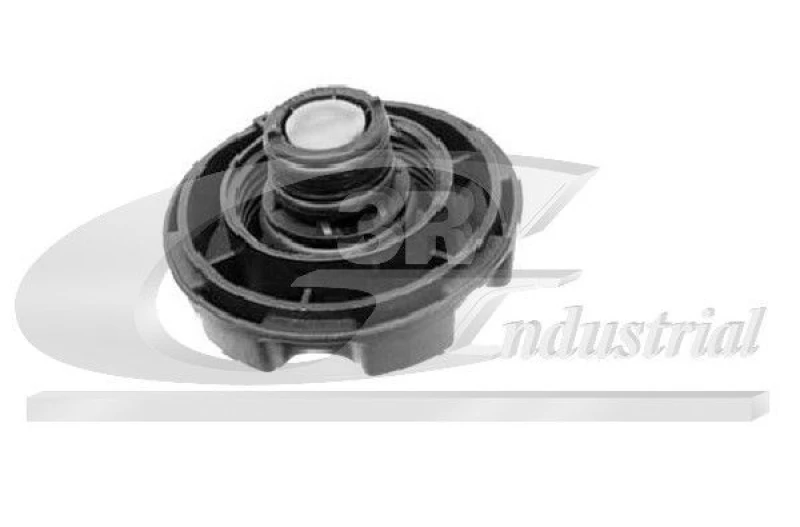 Image of 3RG Expansion tank cap 3RG 80116