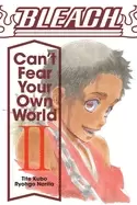 Image of bleach cant fear your own world vol 2