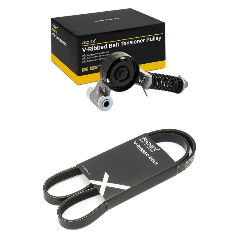Image of RIDEX 542R0966 V-ribbed belt set V-Ribbed Belt Set (542)