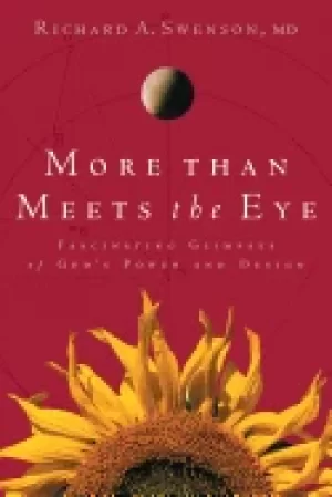 Image of more than meets the eye fascinating glimpses of gods power and design