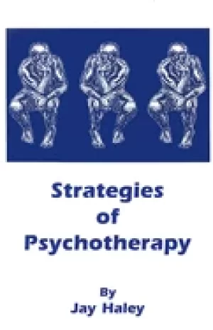 Image of strategies of psychotherapy