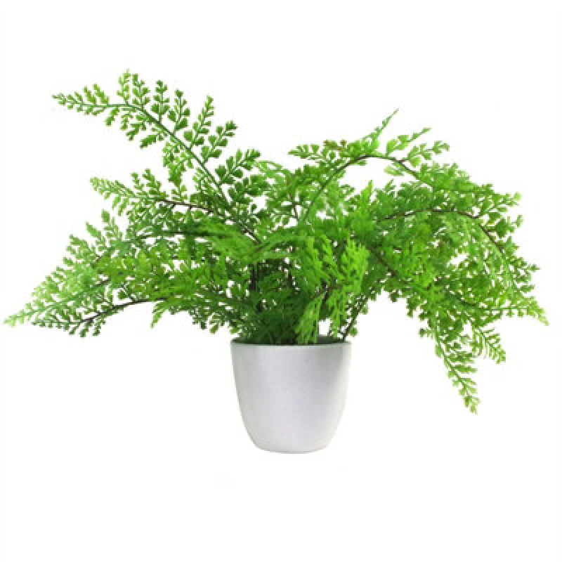 Image of Leaf 30cm Artificial Potted Royal Fern Green unisex