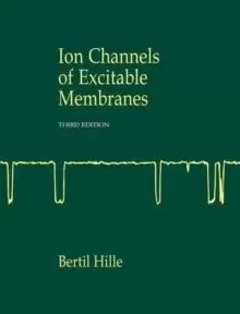 Image of Ionic Channels of Excitable Membranes