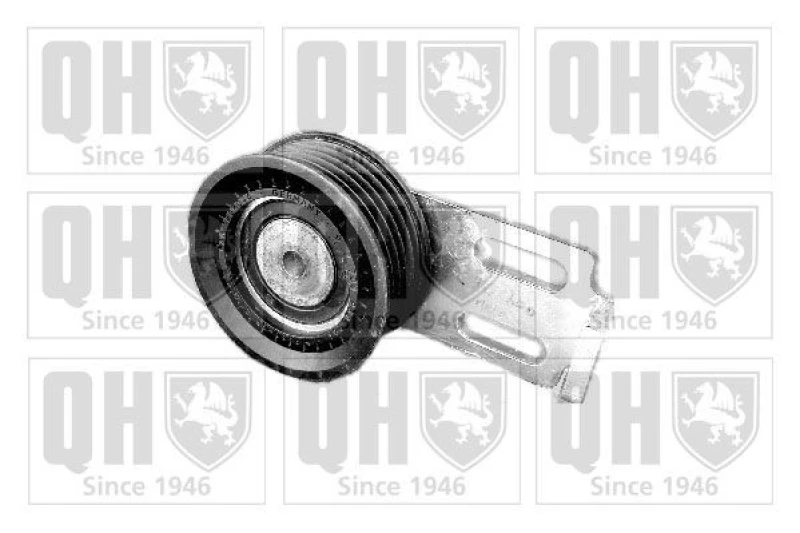 Image of QUINTON HAZELL Tensioner pulley QUINTON HAZELL QTA1015