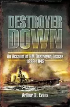 Image of Destroyer down by A. S. Evans