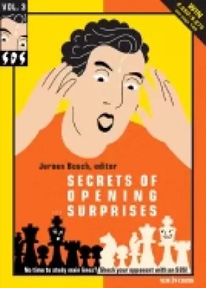 Image of secrets of opening surprises volume 3