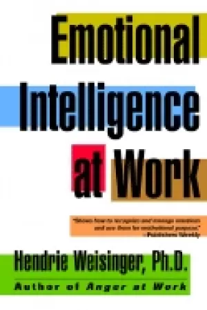 Image of emotional intelligence at work the untapped edge for success