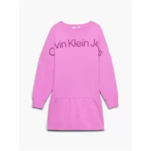 Image of Calvin Klein Jeans Hero Logo Hwk Dress - Purple
