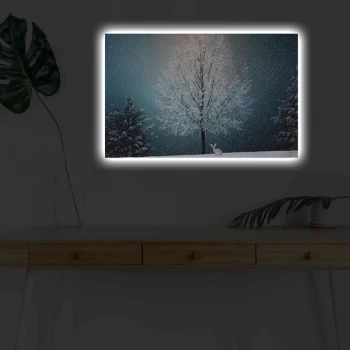 Image of 4570KARDACT - 009 Multicolor Decorative LED Lighted Canvas Painting