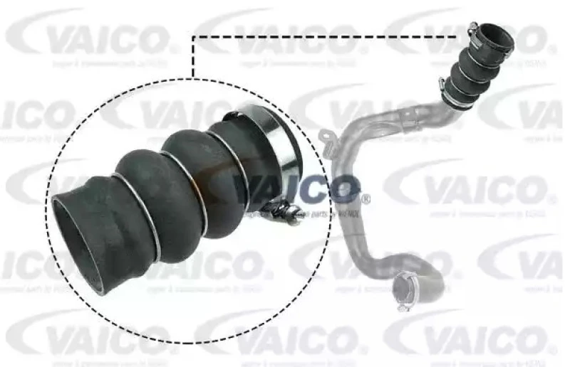 Image of Charger intake hose VAICO V25-1052
