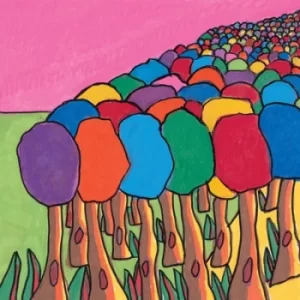 Image of Pink Skies by Mountain Movers Vinyl Album