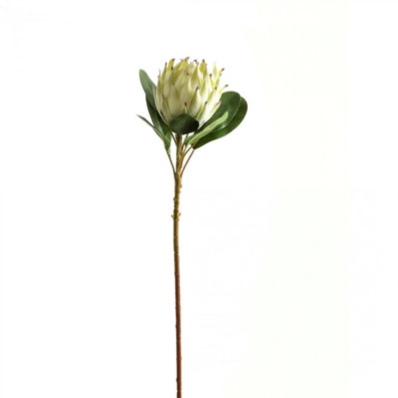 Image of Hill Interiors Protea Protea Artificial Flower White (One Size)