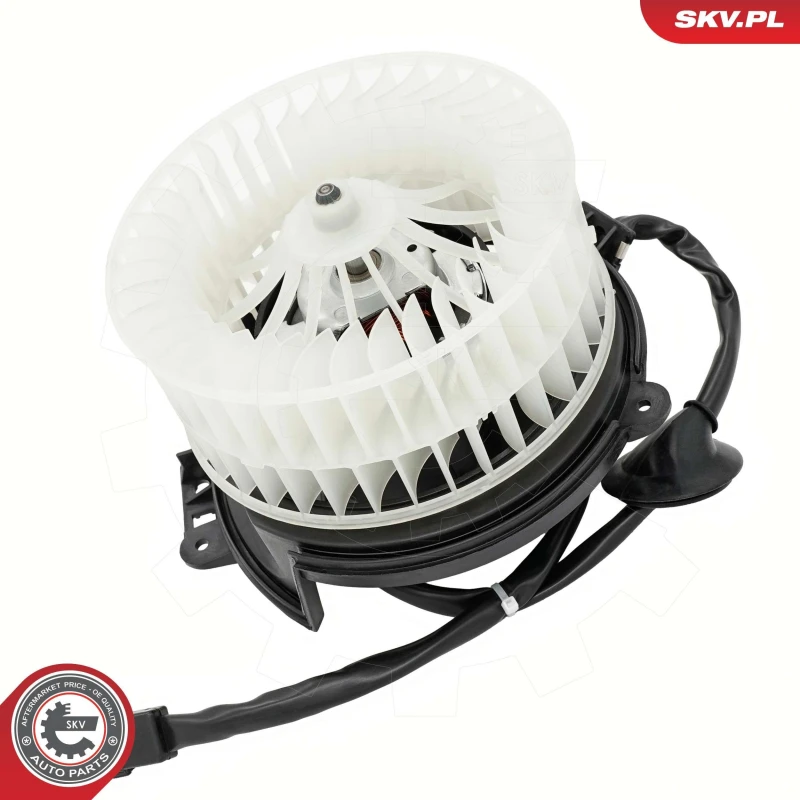 Image of ESEN SKV Blower motor ESEN SKV 68SKV237